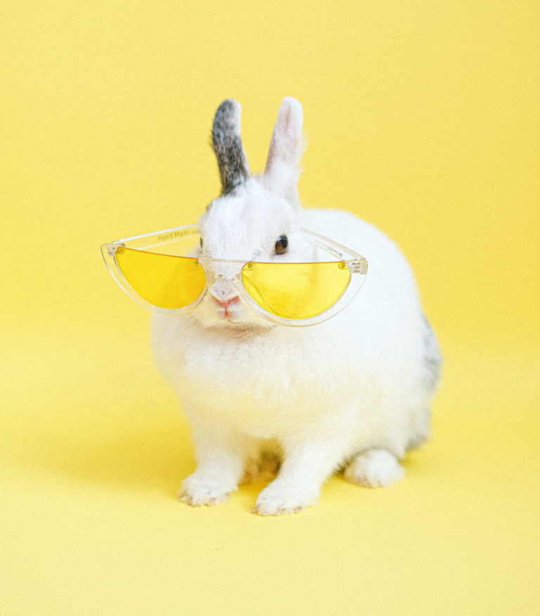 Impact du cosmétique sur le monde animalier